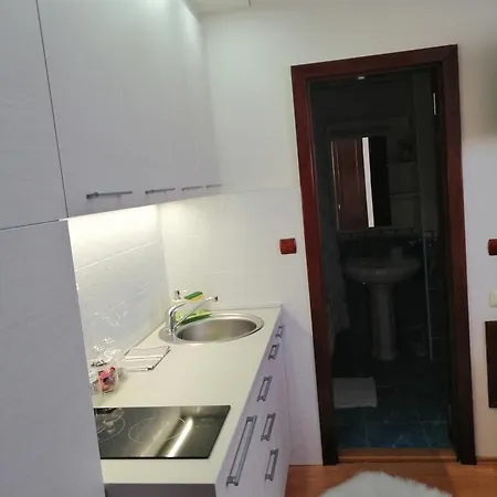 Apartment Lavina Kopaonik