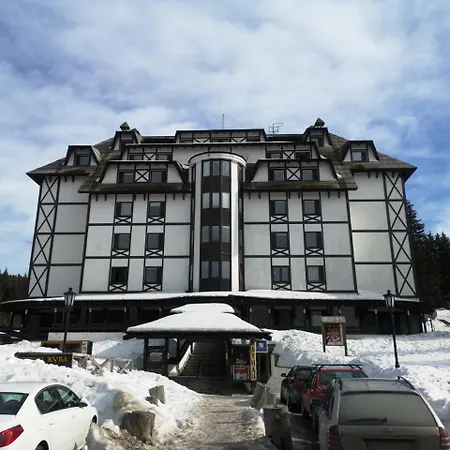 Lavina *