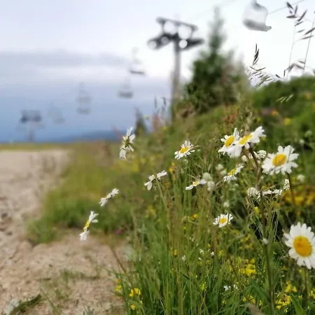 Apartamento Lavina *