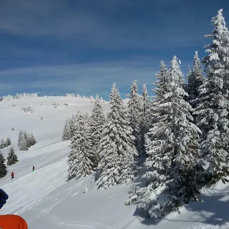 Apartment Lavina Kopaonik